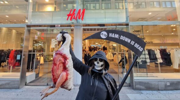 PETA’s Campaign Urging H&M to Ditch Down