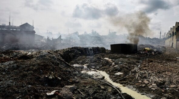 How Leather Is Destroying the Planet