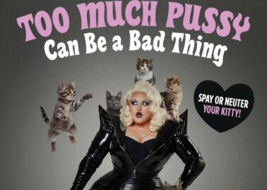 Victoria Scone on Spaying and Neutering: ‘Too Much Pussy Can Be a Bad Thing’