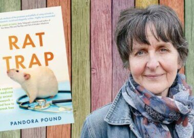 Human Health Is at Risk: Discover How to Escape the ‘Rat Trap’