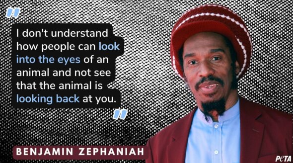 Poet, Dreamer, Animal Rights Advocate: Goodbye to Benjamin Zephaniah