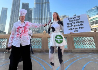 PETA ‘Cow’ and ‘Butcher’ Arrested at COP28 Over Warning to Flesh Peddlers Infiltrating Conference