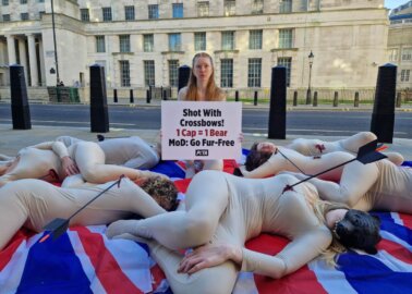 ‘Bears’ ‘Die’ on MoD Doorstep – PETA Calls For End to Bear Slaughter