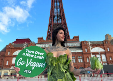 Blackpool’s Meaty Mentality Prompts PETA Activist’s Call to Go Vegan