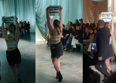 NEW VIDEO: PETA Crashes Fendi Fashion Show in Milan