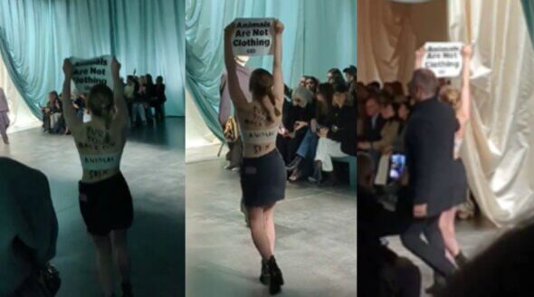NEW VIDEO: PETA Crashes Fendi Fashion Show in Milan