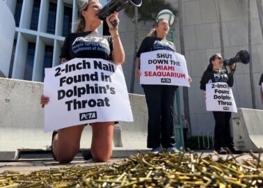 Victory! Miami Seaquarium Loses Its Lease