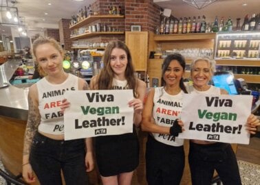 Viva Vegan Leather! PETA Disrupts Victoria Beckham’s Paris Fashion Week Show to Declare ‘Animals Aren’t Fabric’