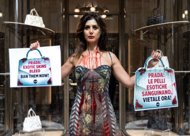 PETA’s ‘Bloody Snake’ Urges Prada to Shed Exotic Skins