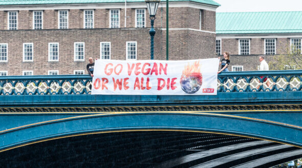 Earth Day Warning: Go Vegan or We All Die
