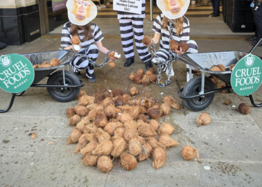 Chained PETA ‘Monkeys’ Dump Coconuts at Whole Foods