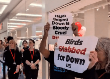 H&M Store Opening Crashed by PETA Activists