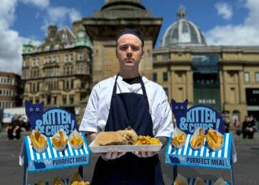 Cat or Cod? PETA Serves Up ‘Kittens’ and Chips