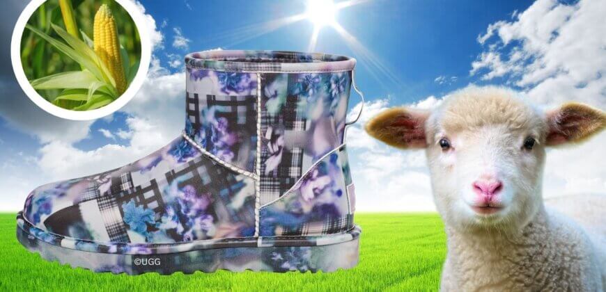 HUGE NEWS The First Ever Vegan UGGs Are Coming