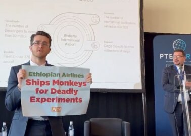 PETA Urges Ethiopian Airlines to Stop Flying Monkeys to Laboratories