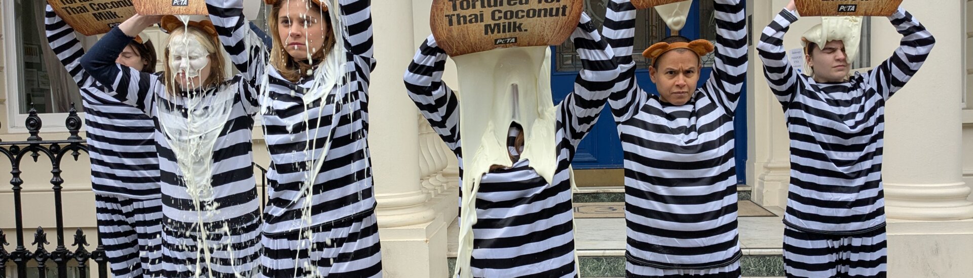 Protests Over Coconut Milk? PETA’s Campaign Explained