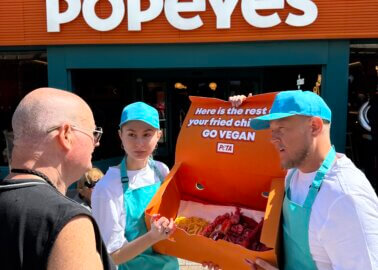 Chicken Takeaway: Here’s What Popeyes Doesn’t Want You to Know