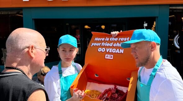 Chicken Takeaway: Here’s What Popeyes Doesn’t Want You to Know