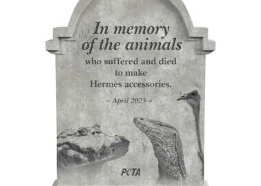 PETA’s Campaign Urging Hermès to Drop Wildlife Skins