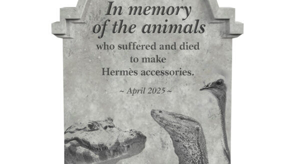 PETA’s Campaign Urging Hermès to Drop Wildlife Skins