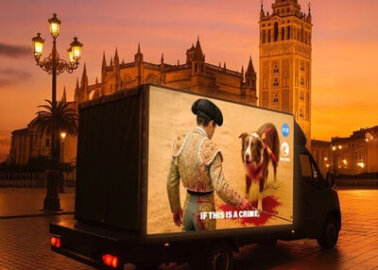 Anti-bullfighting Ad Sparks Controversy in Seville