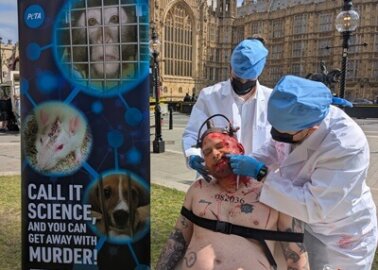 Experiments on Animals: Call It Science, and You Can Get Away With Murder