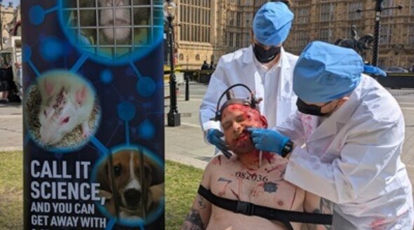 Experiments on Animals: Call It Science, and You Can Get Away With Murder