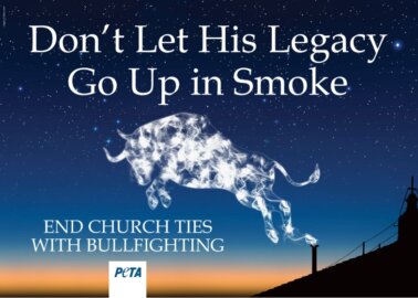 PETA Urges the Pope to Cut the Catholic Church’s Shameful Ties With Bullfighting