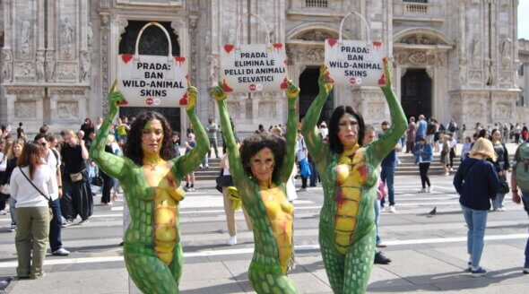 PETA’s Campaign Urging Prada to Drop Wildlife Skins
