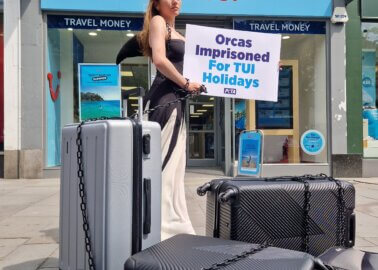 PETA’s Campaign to End TUI’s Support of Orca Abuse
