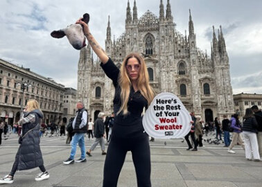 Prestigious Fashion Award Protested Over Sheep Abuse