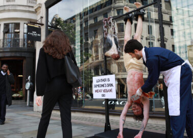 Leather Is Someone’s Skin – Why PETA Protested Coach