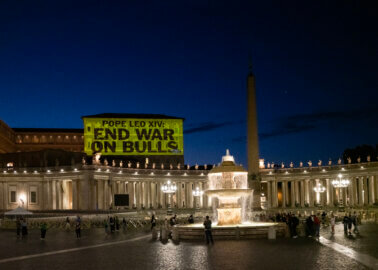 PETA Urges New Pope Leo XIV to Honour Pope Francis, End Church Support for Bloody Bullfights