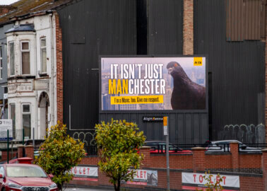 Pigeons Are Mancs Too: Why Manchester’s Birds Deserve Respect