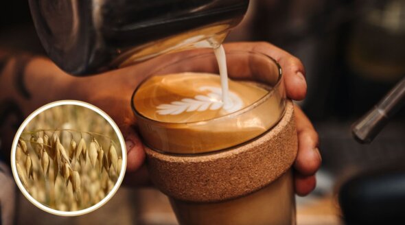 Extra for Oat Milk? Urge These Cafés to Drop the Surcharge!