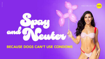 Too Hot to Handle’s Emily Miller Speaks Out Against Dog Breeding