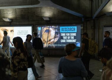 Caged Beagle Appears on Westminster Ad to Urge Parliament to Ban Animal Testing