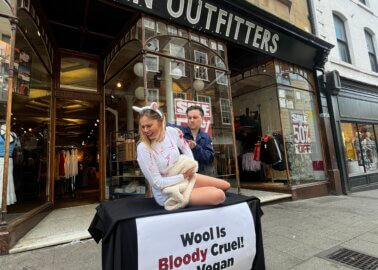 Why PETA ‘Sheep’ Was ‘Sheared’ Near Urban Outfitters Store