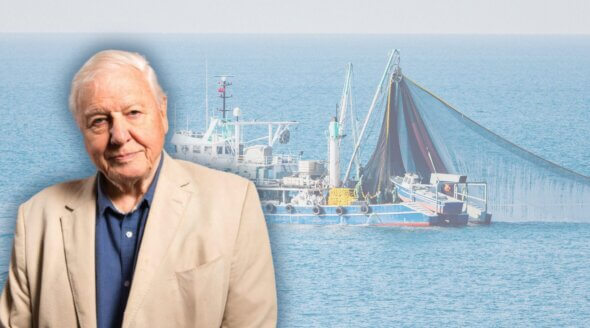 Bottom Trawling – a Hot Topic, and Certain Death for Fish and the Planet