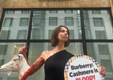 Burberry’s Cashmere Sales Draw ‘Bloody’ PETA Display at Shareholder Meeting