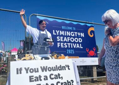Kitten Cakes and Crabcakes: What’s the Difference?