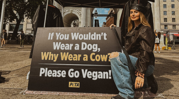 Influencer Jamie Logan Hits London Selling… Dog Leather?