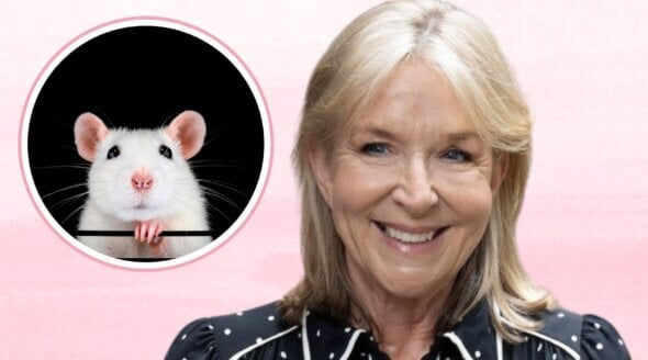 Sepsis Survivor Fern Britton Slams ‘Diabolical’ Animal Experiments