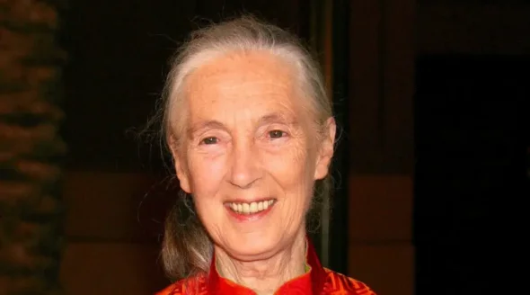 Jane Goodall Redefined Animals as Someones, Not Somethings