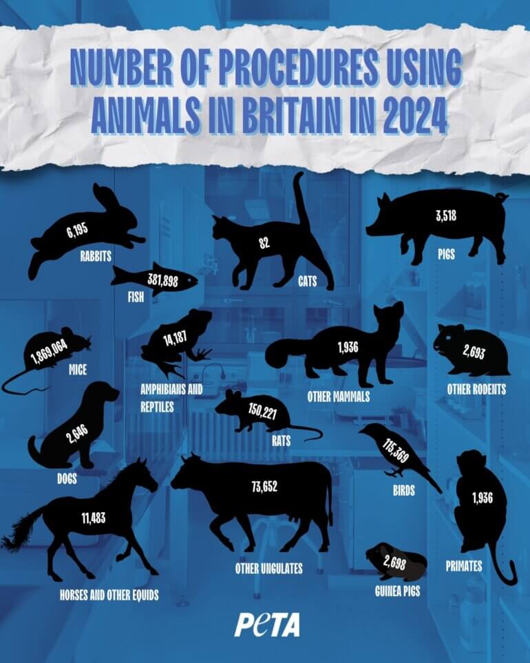 An inphographic showing animal testing stats in the UK
