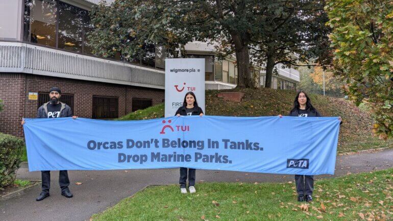 Activists holding up a banner reading "Orcas don