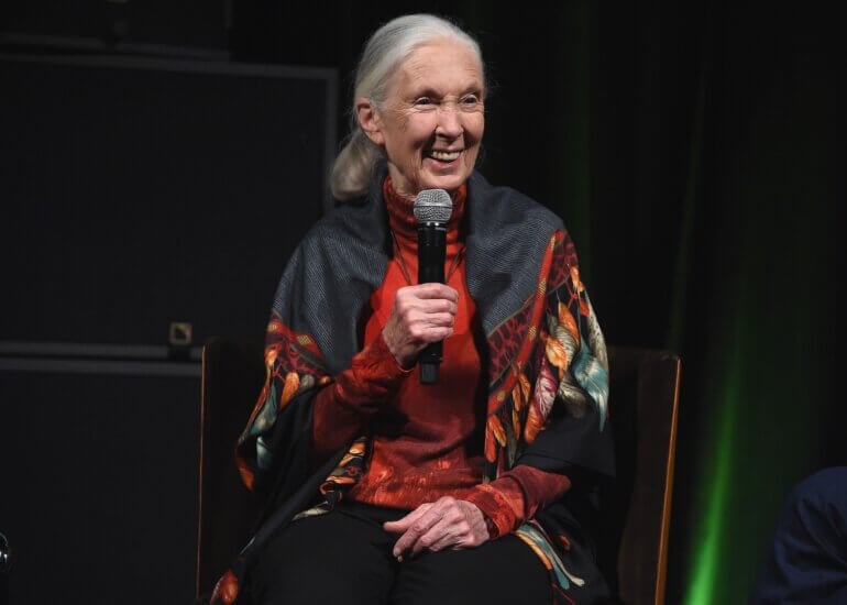 Dr Jane Goodall on stage holding a microphone