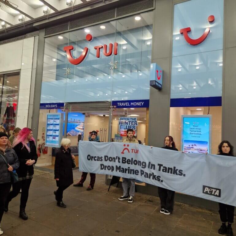 Activists standing outside a TUI store holding up a sign reading "Orcas Don