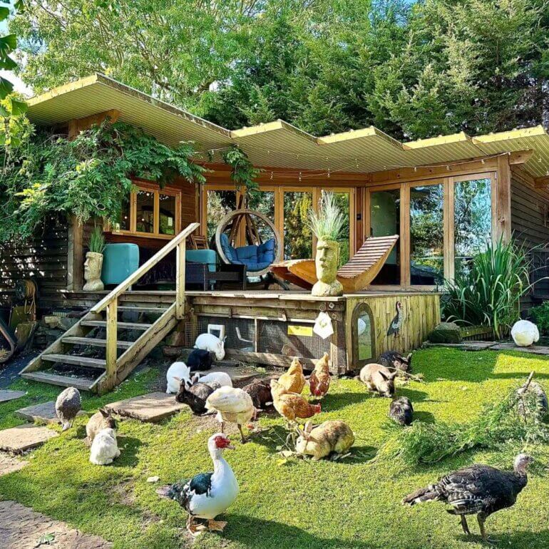 The outside of The Base Vegan Sanctuary showing rescue animals and the cabin guests can stay in