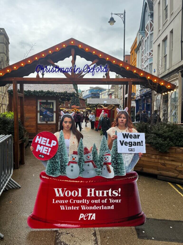 PETA supporters dressed as bloodied sheep at Oxford Christmas market